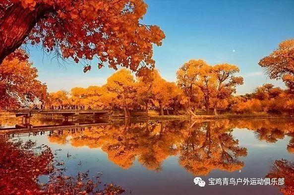 剧中是姐弟，现实是夫妻，相爱21年，凭借《都挺好》又火了